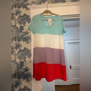 NWT Entrol Color Block V-Neck Dress- Size Large